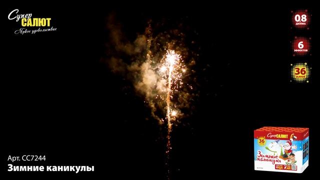 СС7244_2024 смотреть онлайн