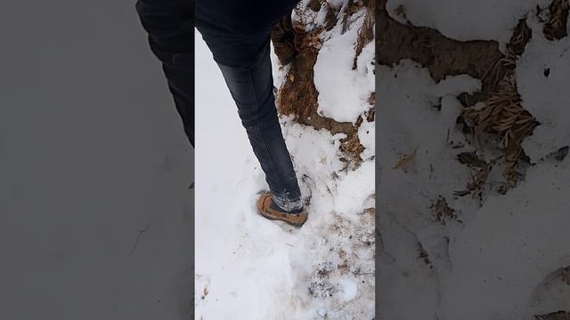 приключения баги и егра ( 1 серия ) ﹤Катание на нахаловке﹥ смотреть онлайн