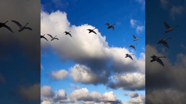 Что ж грустить © Copyright: Бронислав Сычёв, 2024
Свидетельство о публикации №124110702546 смотреть онлайн