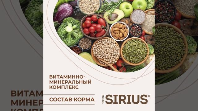 SIRIUS Пост смотреть онлайн