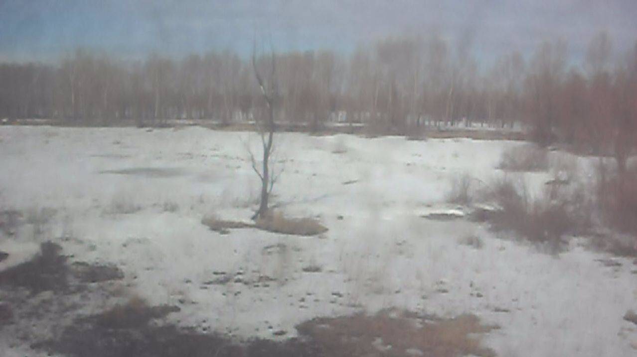 Электропоезд ЭД9М-0154. Покатушки от Присягино до моста через Обь.