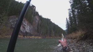 Осенняя Рыбалка на ХАРИУСА /Плёсы на Таёжной Речке Забиты Рыбой/ КАЖДЫЙ ЗАБРОС РЫБА!