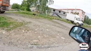 ЛИЧНАЯ ТРАГЕДИЯ / 67 серия (18+)