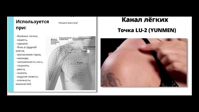 Меридиан легких смотреть онлайн