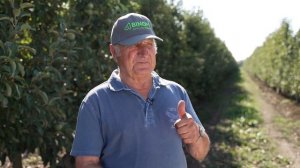 Идеальный сад с BINOM