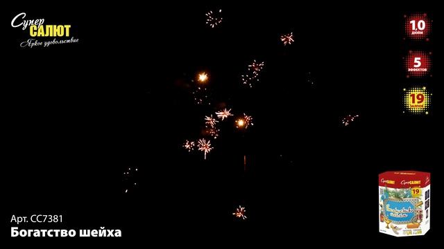 СС7381_2024 смотреть онлайн