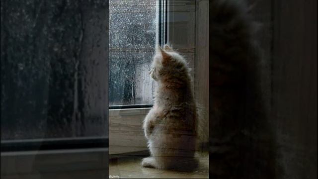 Ожидание. Дмитрий Шлапак смотреть онлайн