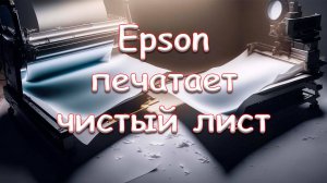 Epson печатает чистый лист