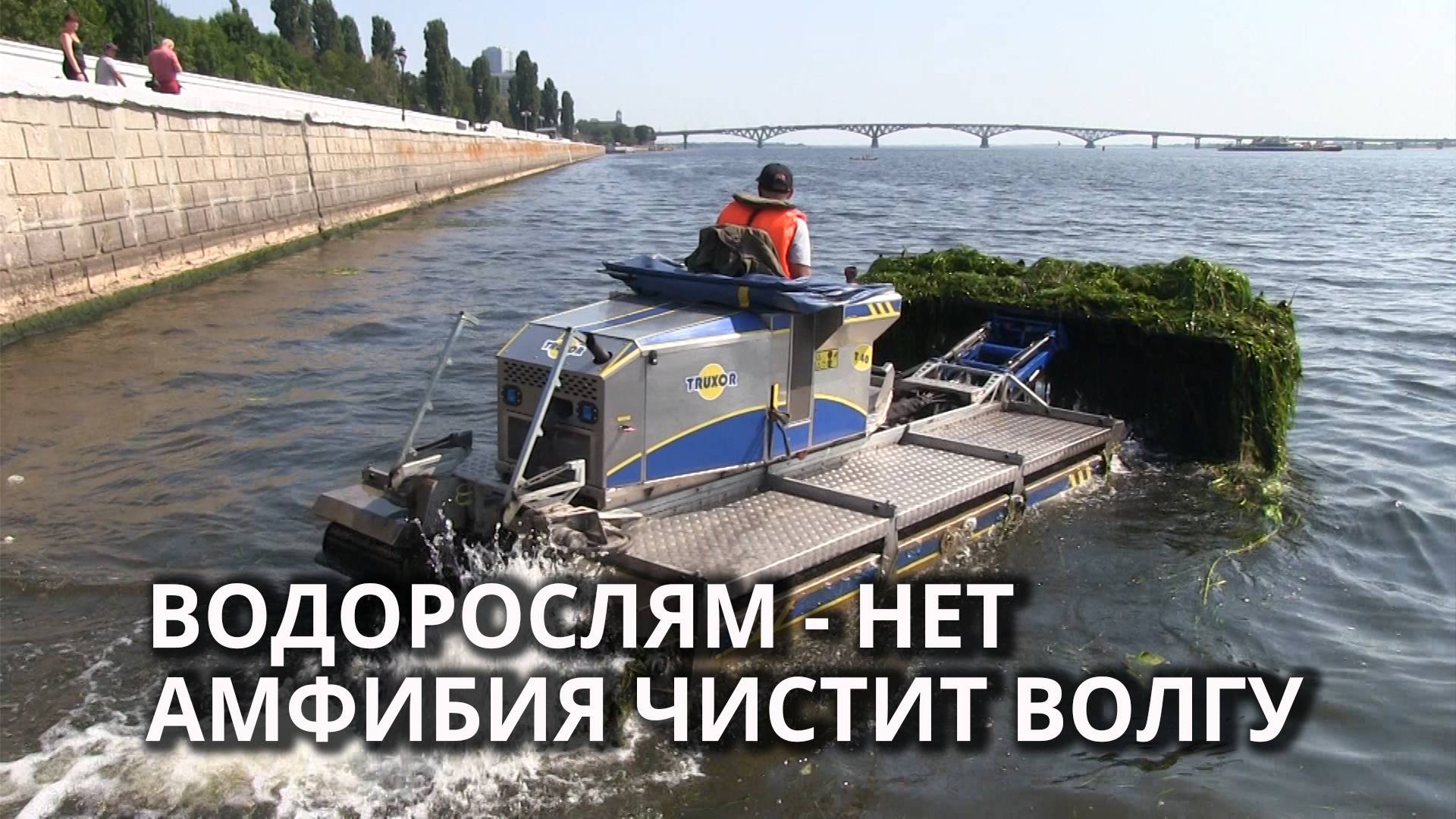 В Саратове чистят Волгу от травы смотреть онлайн