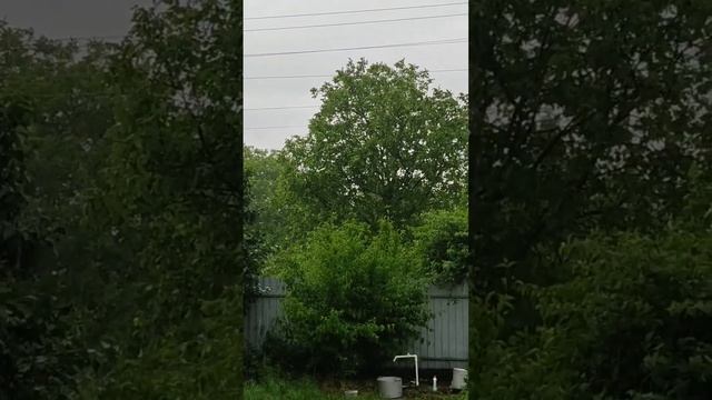 Льёт и льёт ⛈️@oksanaNEWLIFE Краснодарский край смотреть онлайн