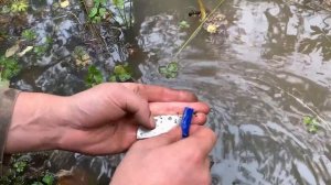 ХАБАРОК! КОП ПО ВОЙНЕ 2021!