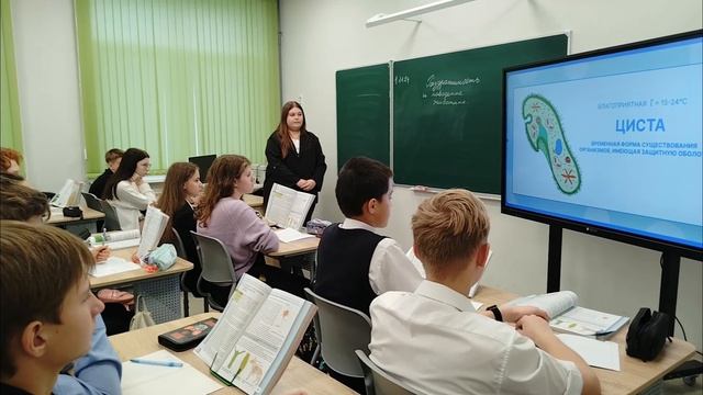 Petal_20241101_122416.mp4