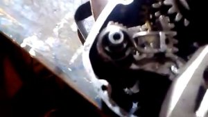 Правильная сборка коробки муравей, тула.