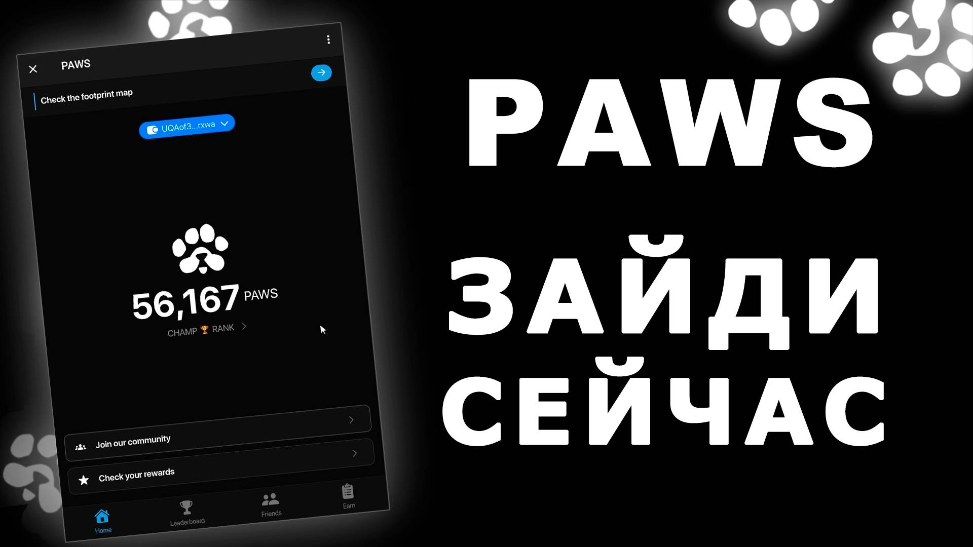 PAWS - ЗАЙДИ СЕЙЧАС ЧТОБ НЕ ПРОПУСТИТЬ