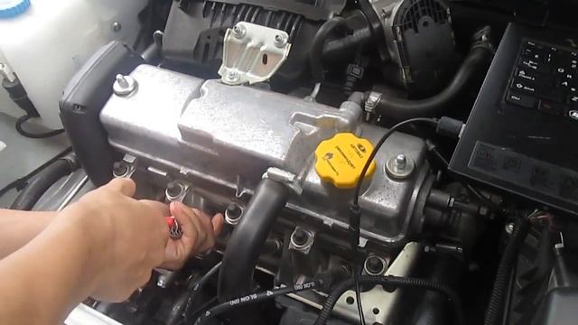 ГНЕТ ЛИ КЛАПАНА НА ГРАНТЕ FL