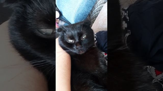 Баю - бабушки.... @oksanaNEWLIFE смотреть онлайн