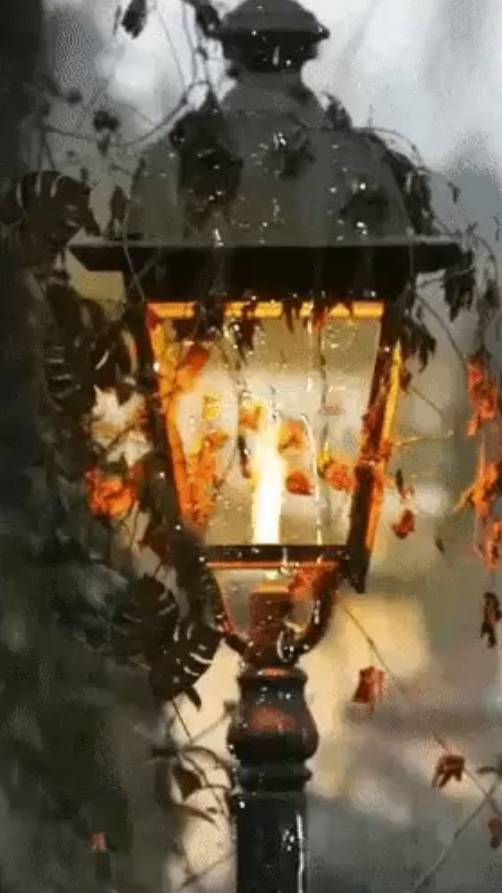 Мудрость - это... смотреть онлайн