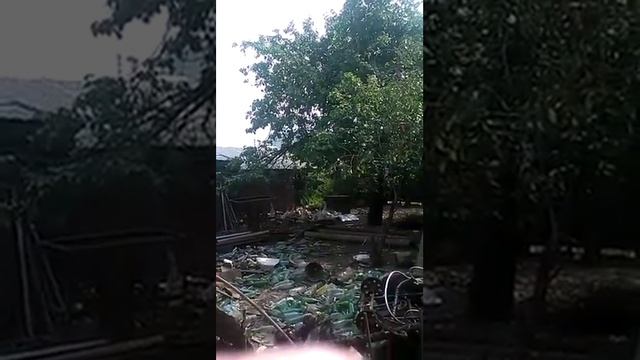 Величественные гуси смотреть онлайн