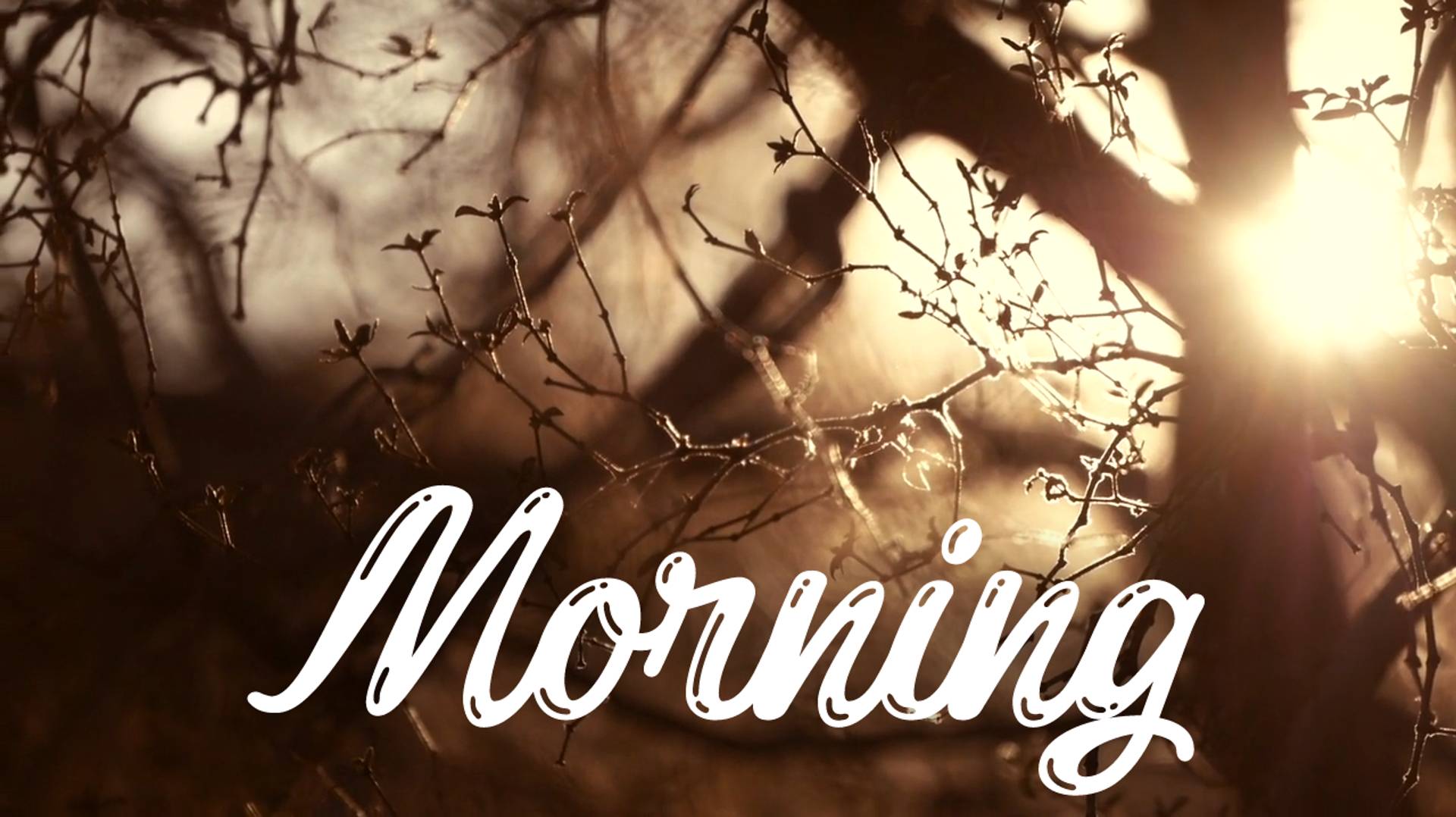 Stress Relief Music | Soothing Sounds To Calm Your Mind & Relax Your Body | Cabin Of Calm