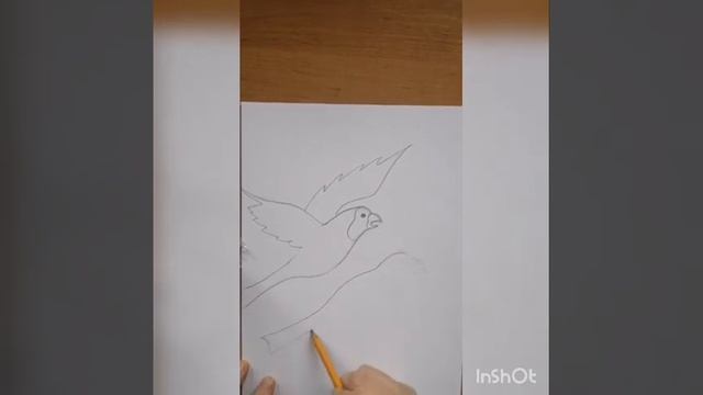 Карандашный рисунок летящих птиц смотреть онлайн