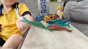 морские обитатели