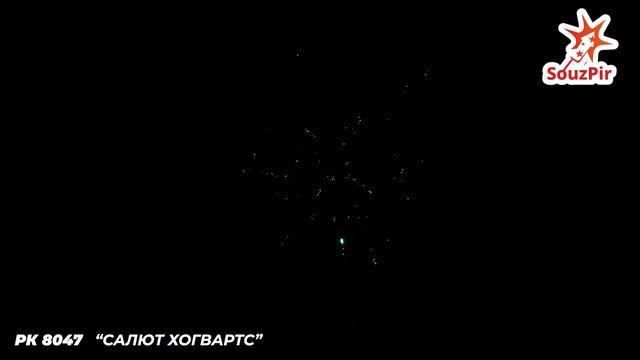 РК 8047 САЛЮТ ХОГВАРТС смотреть онлайн