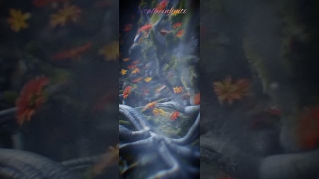 1000006892.mp4 смотреть онлайн