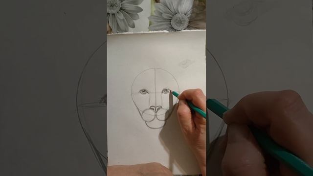 Карандашный рисунок. Лев. смотреть онлайн