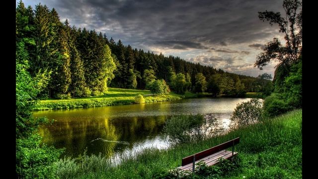 moonlight смотреть онлайн