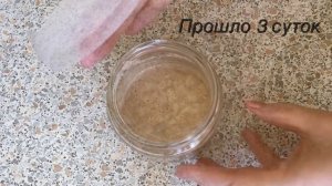 Ржаная закваска. С канала Татьяна Аврова
