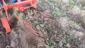 xingtai 244 копает картошку, копалка утиный хвост