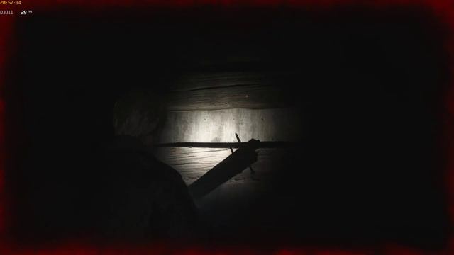 Silent Hill 2 remake №2