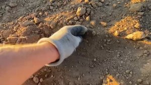 Запуск посевного комплекса  Севмастер 10