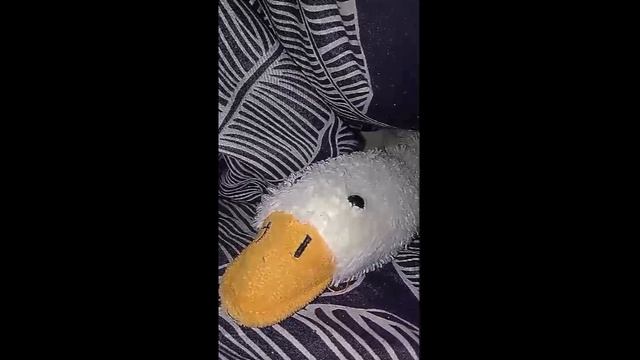 топ самых страшных SCP