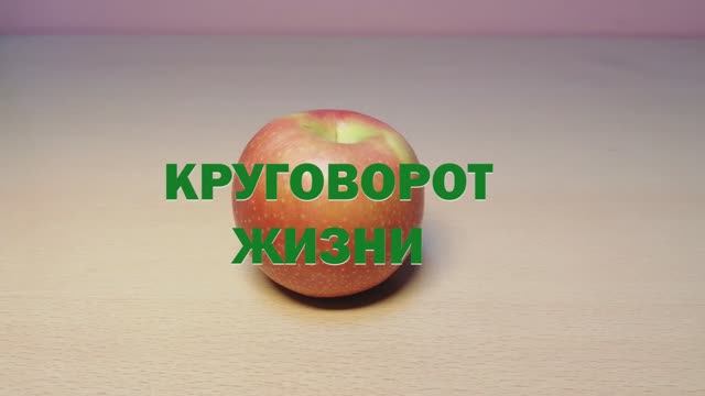 Круговорот жизни смотреть онлайн