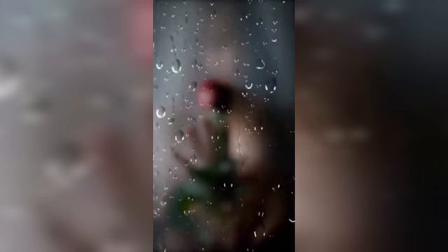 Regnum_umbrae2024.mp4