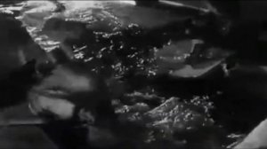 Кантата Прокофьева «Александр Невский».