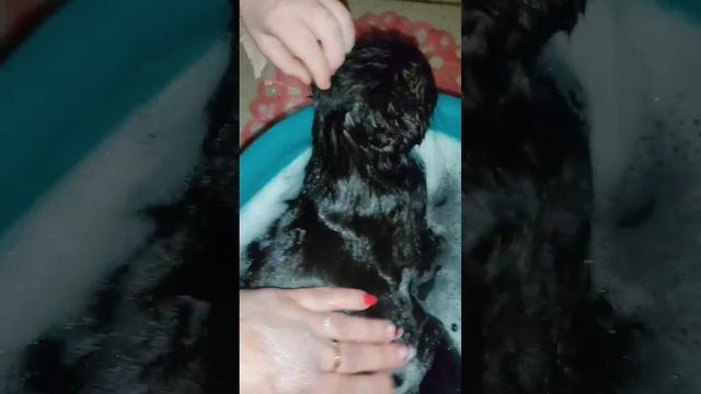 Ванный день у Каси @oksanaNEWLIFE смотреть онлайн