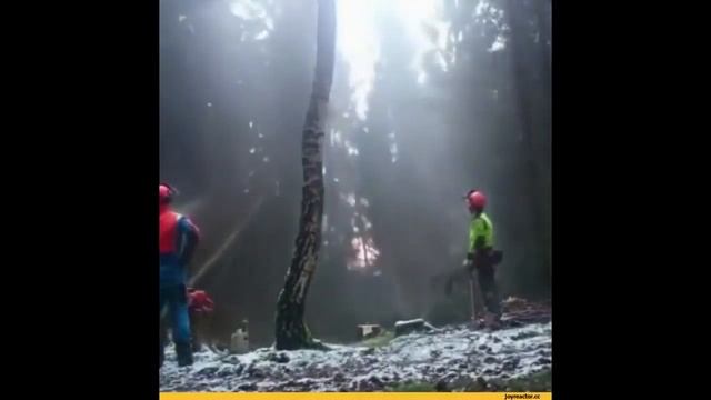 BEST COUB #67 Лучшее видео в COUB январь 2017 смотреть онлайн