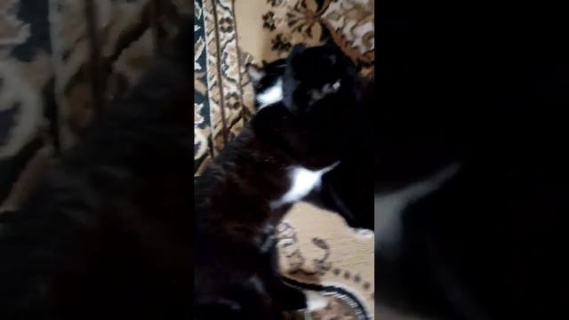 Вот такая крепкая дружба смотреть онлайн