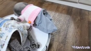 троюродный брат Фердинанд