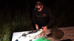 Рыболовное путешествие в Шведских горах. Хариус, щука, форель. Походы по горным.(часть 1)