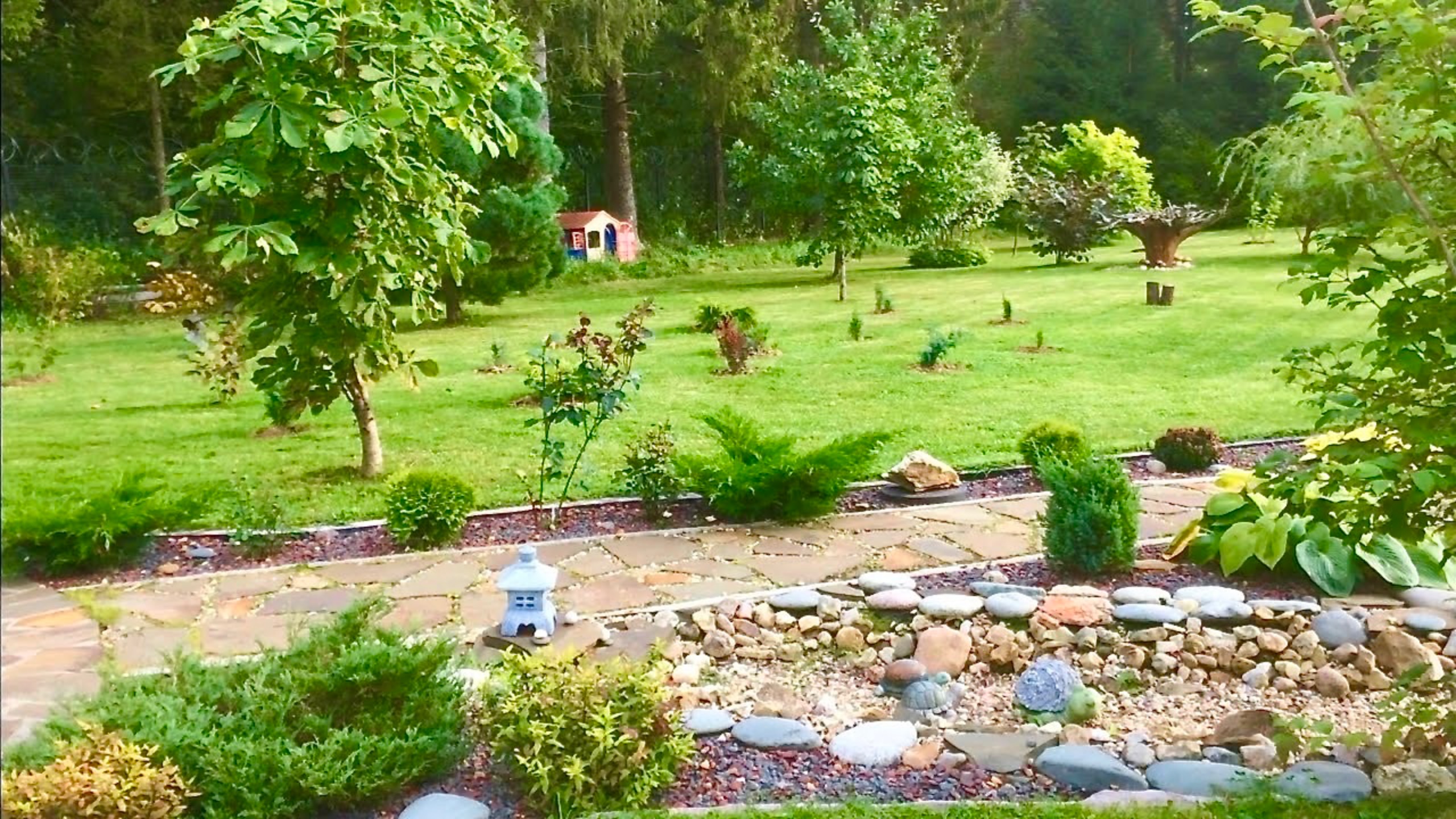 Планирование большого рокария. Первые растения. Видео из архива 2020г. смотреть онлайн