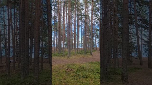 Карелия 2024. Ладожское озеро. Приозерск. Июль 2024 (Часть 8).mp4 смотреть онлайн