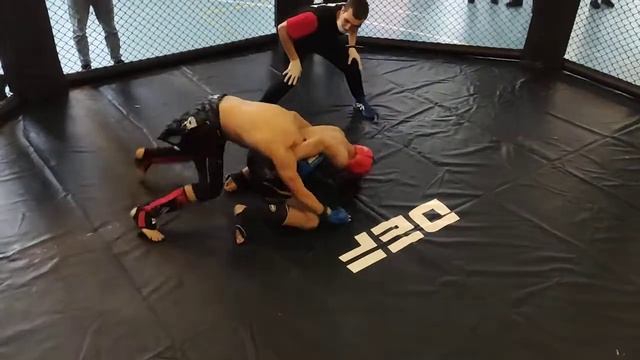 Dominator Extreme Fight 13 -52 смотреть онлайн