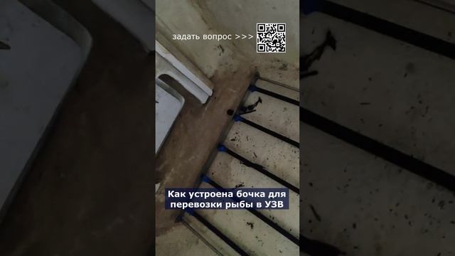 Как устроена бочка для перевозки рыбы в УЗВ #система #узв #рыба #акварост #форель #осетр смотреть онлайн