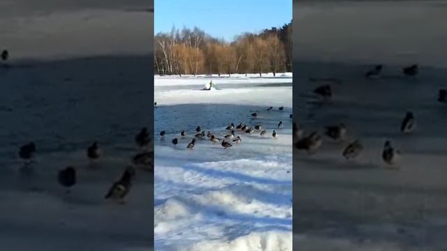 Красота. Прелесть. Детство. Волшебство смотреть онлайн