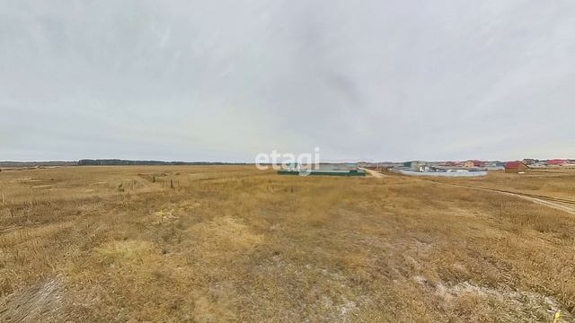 3870481