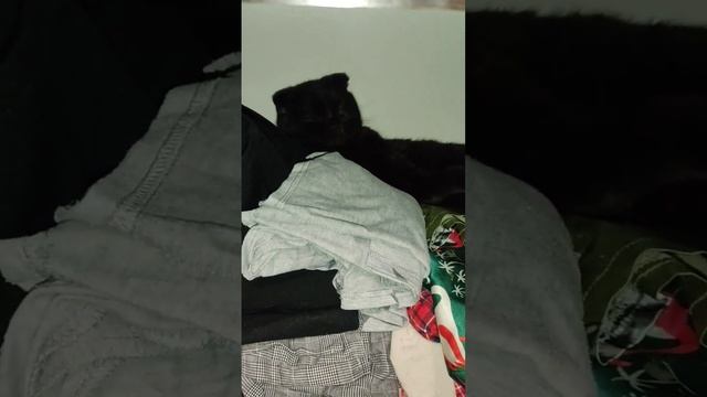 В домике @oksanaNEWLIFE смотреть онлайн