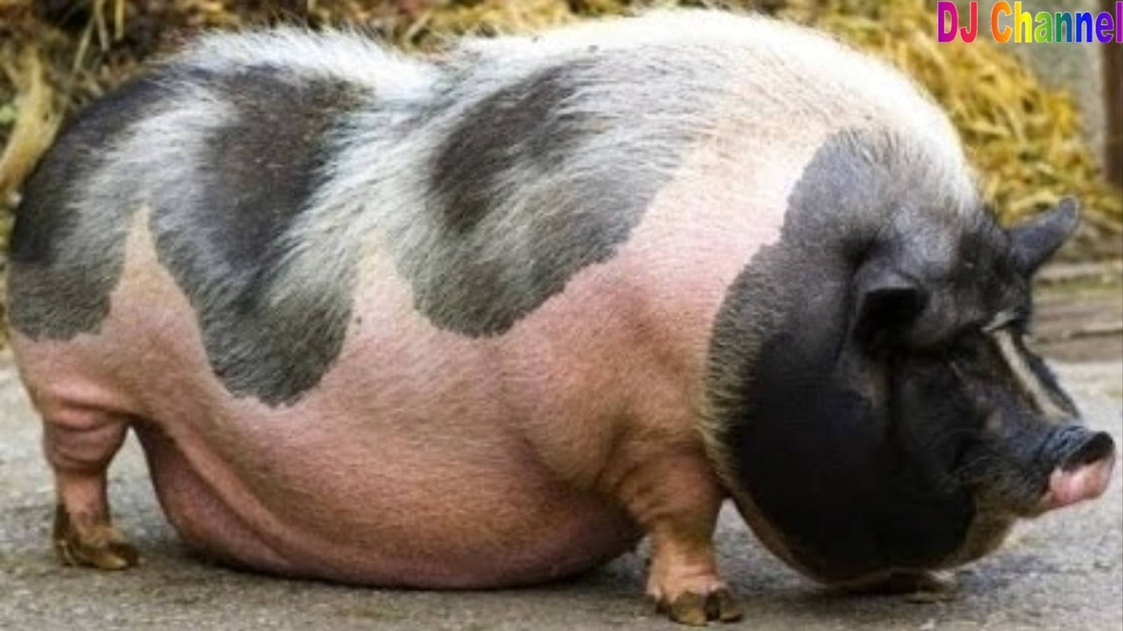 Такого правосудия над тьмой еще не было. 04.11.24. смотреть онлайн